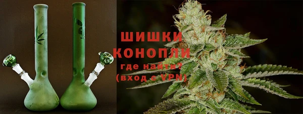 молекула духа Алзамай