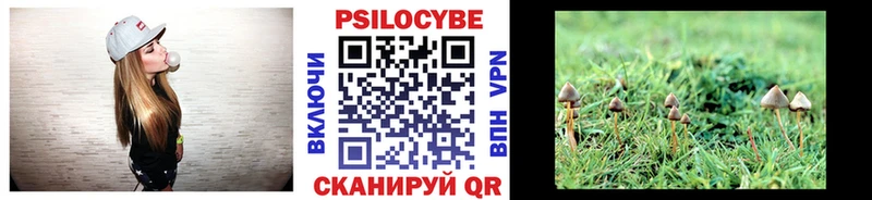 Галлюциногенные грибы мицелий  Задонск 